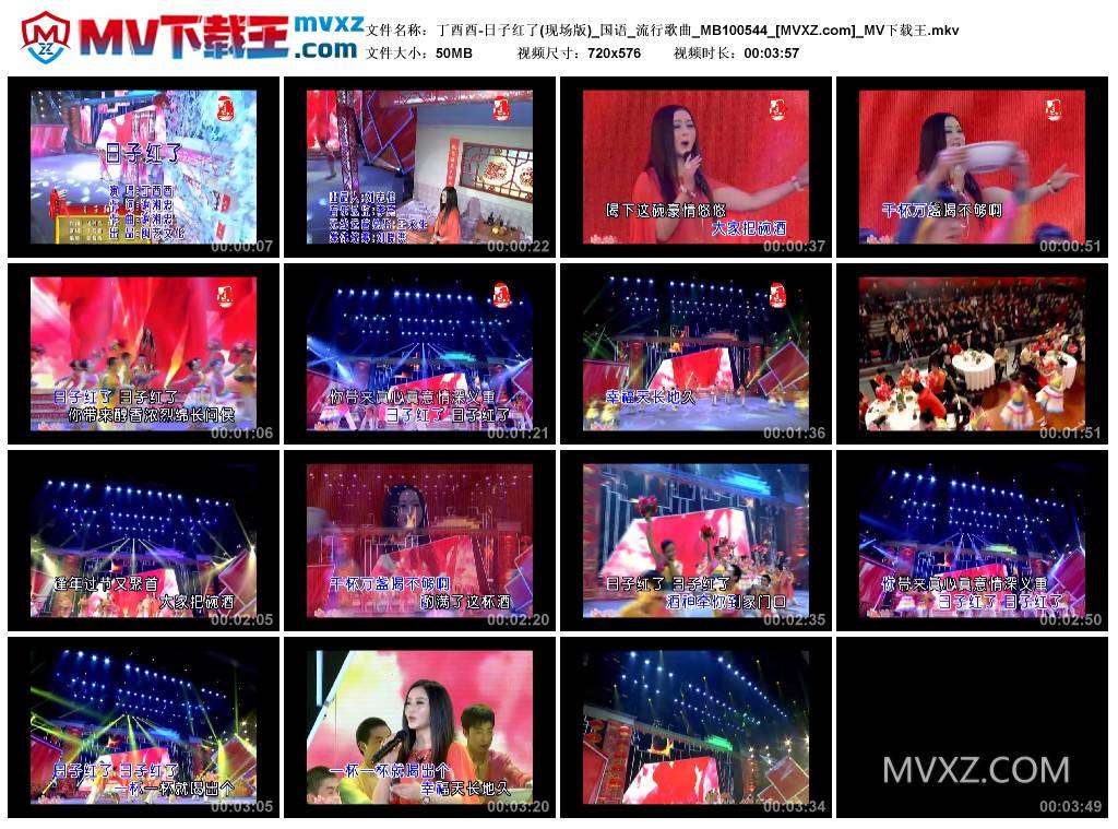 丁酉酉-日子红了(现场版)_国语_流行歌曲_MB100544